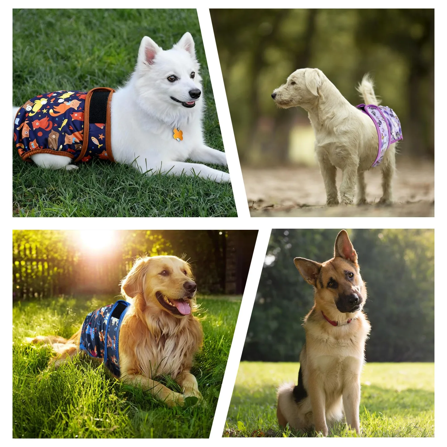Dog Diapers Female Washable Reusable Pack of 5 for Heat Size M