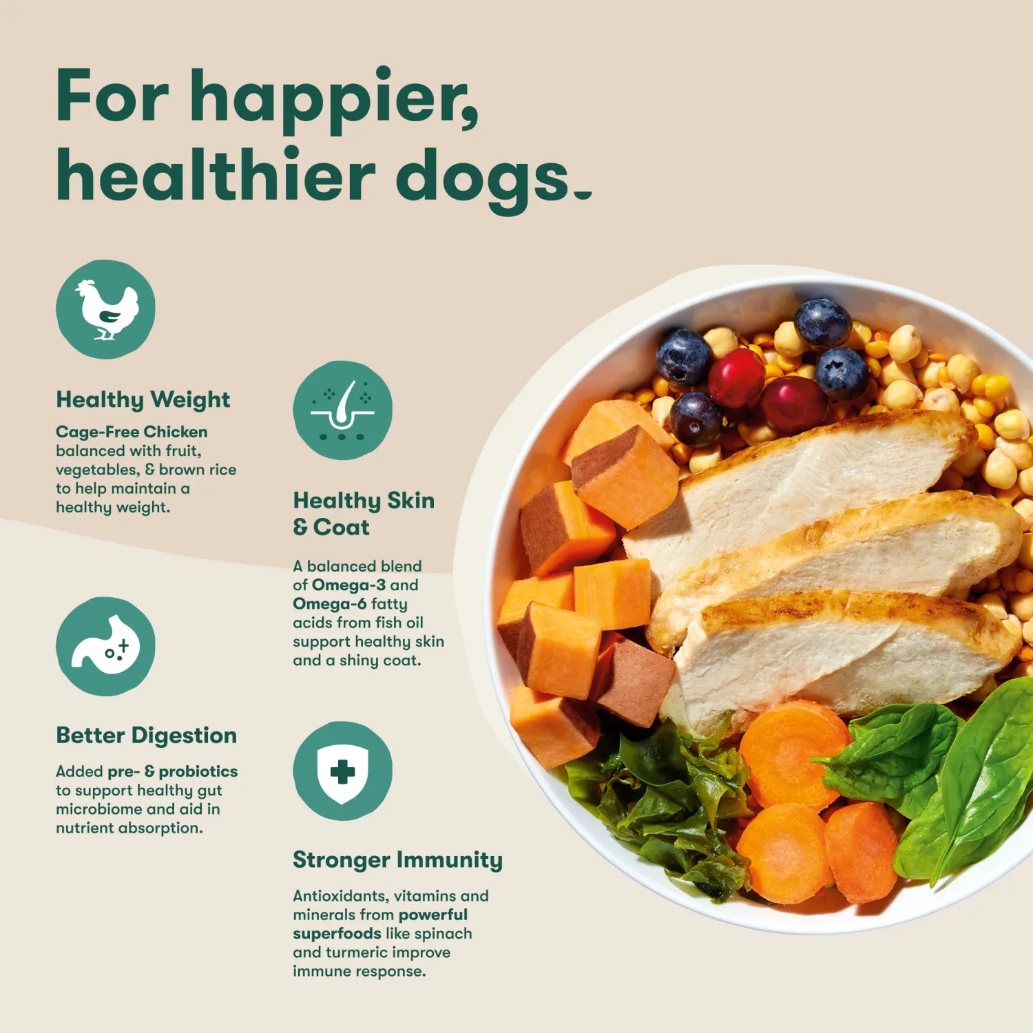 Jinx Grain Free Dry Dog Food - Real Chicken, Sweet Potato & Carrot, 4lb