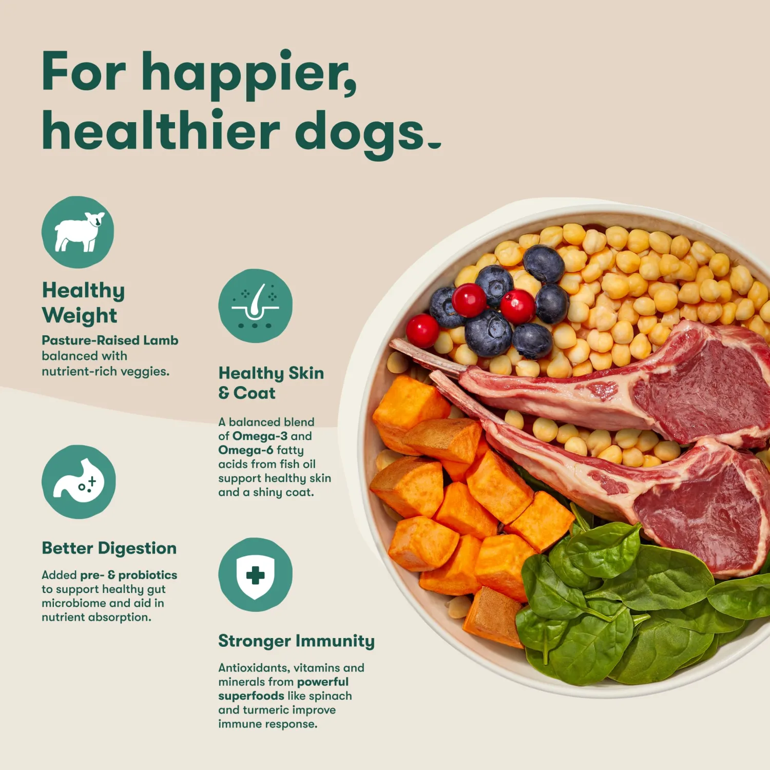 Jinx Grain Free Dry Dog Food - Real Lamb, Sweet Potato & Carrot, 4lb
