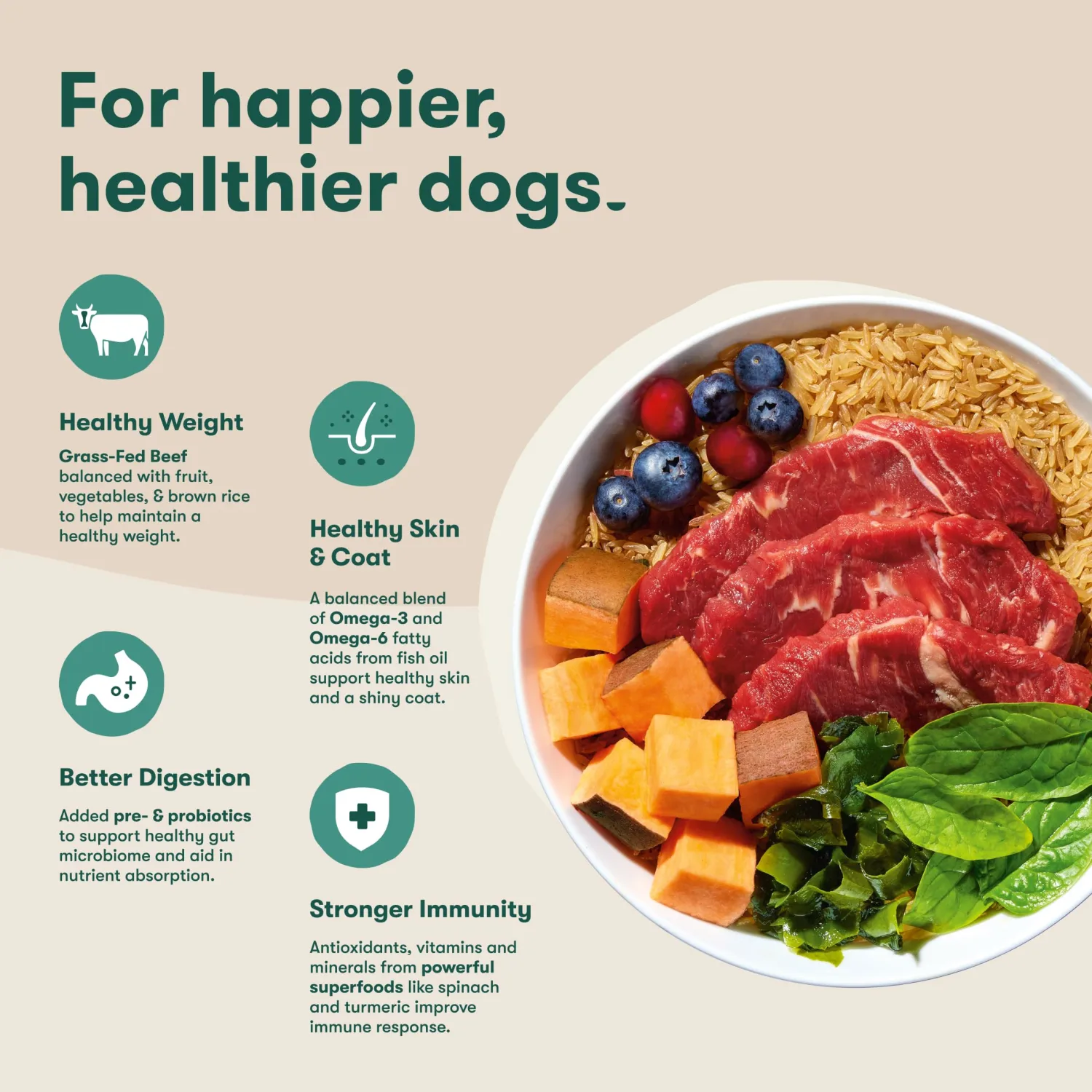 Jinx Dry Dog Food - Grass-Fed Beef, Brown Rice & Sweet Potato, 4lb