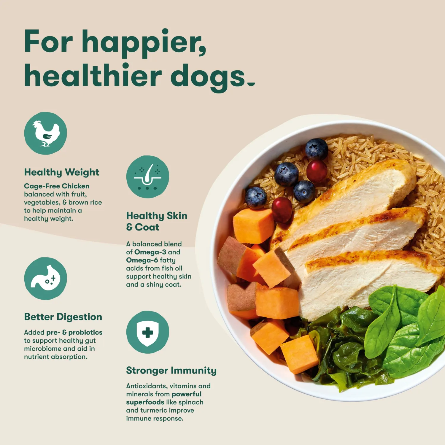 Jinx Dry Dog Food - Cage Free Chicken, Brown Rice & Sweet Potato, 11.5lb