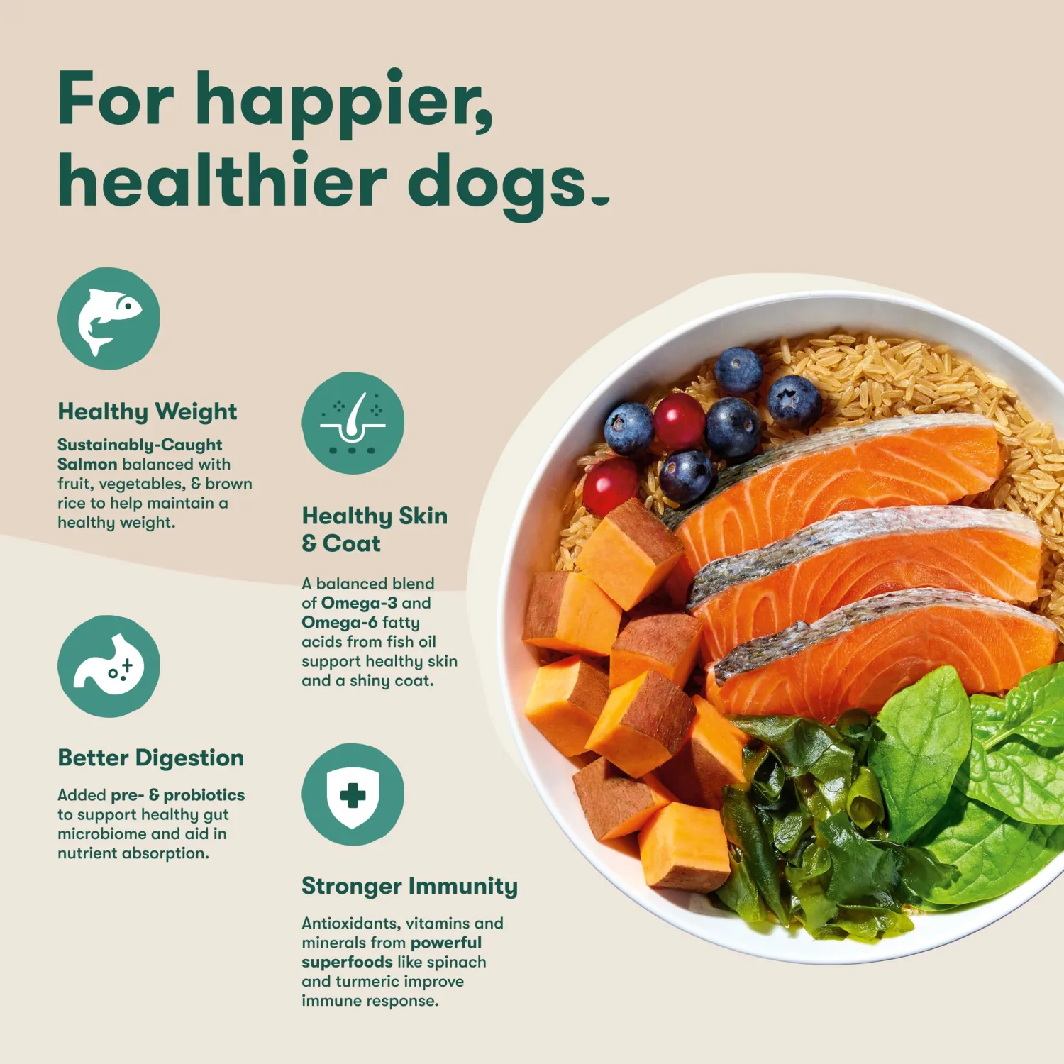Jinx Dry Dog Food - Real Salmon, Brown Rice & Sweet Potato, 11.5lb