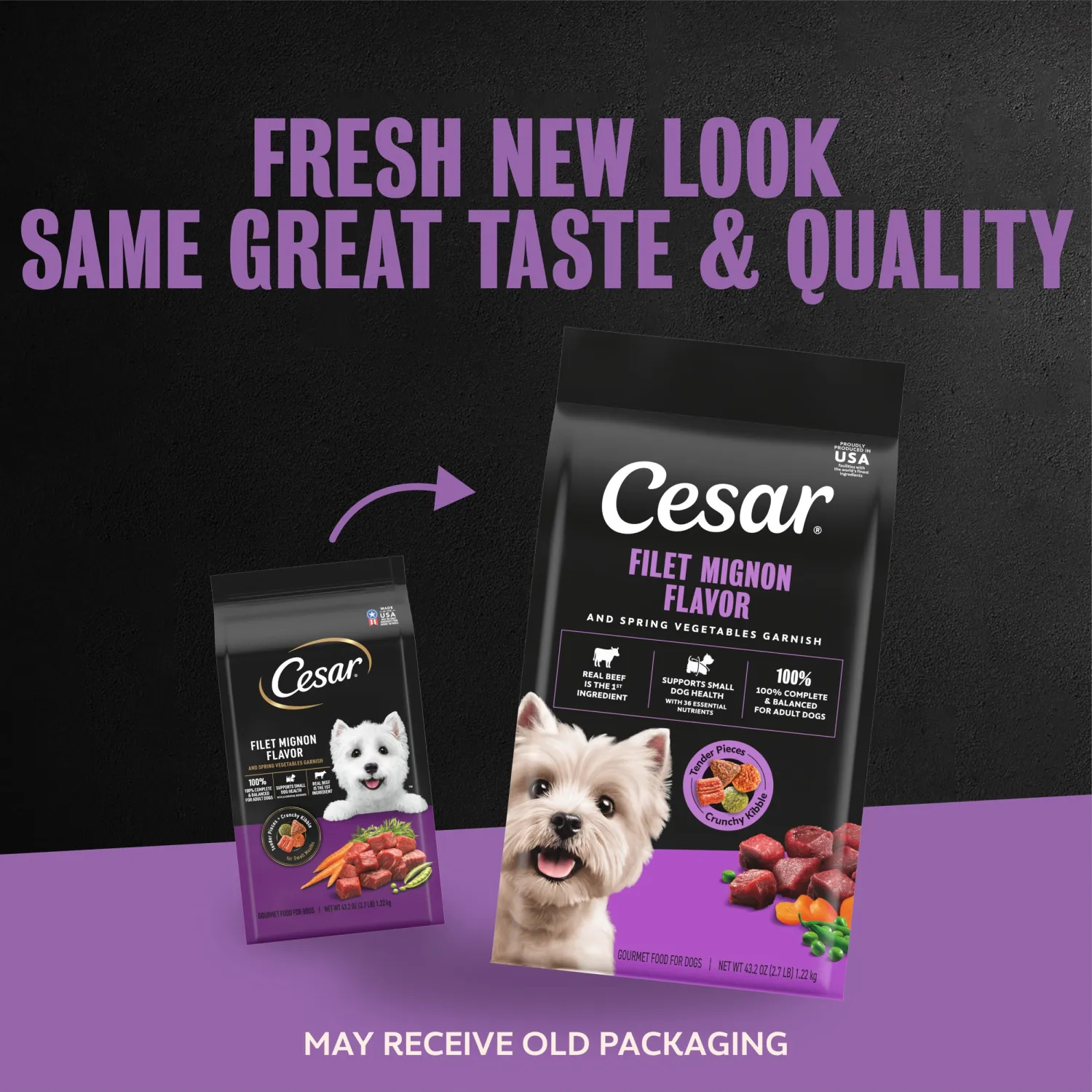 Cesar Small Breed Dry Dog Food, Filet Mignon & Spring Vegetable, 2.7 lb