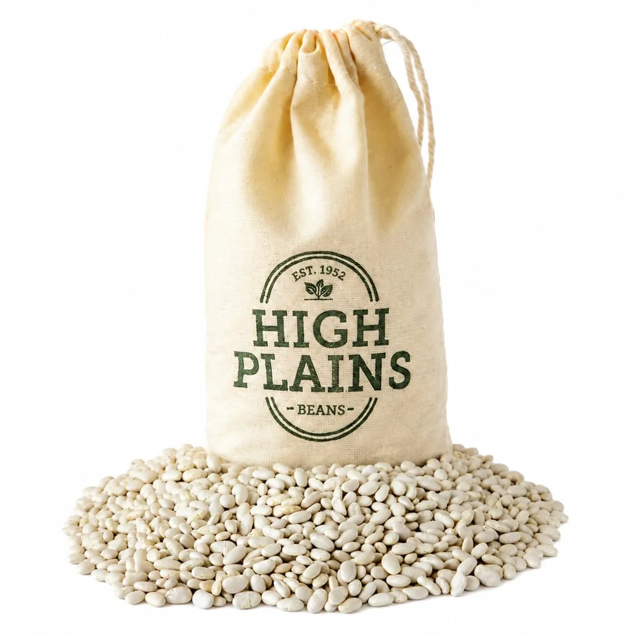 High Plains Beans Great Northern Beans, 1 lb Bag, Premium Dry Beans