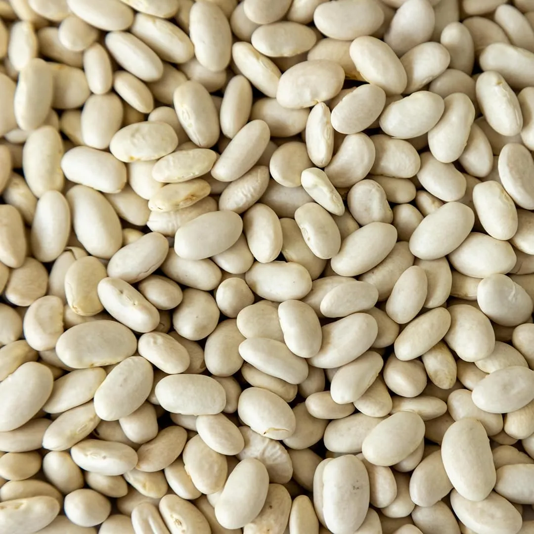 High Plains Beans Great Northern Beans, 1 lb Bag, Premium Dry Beans