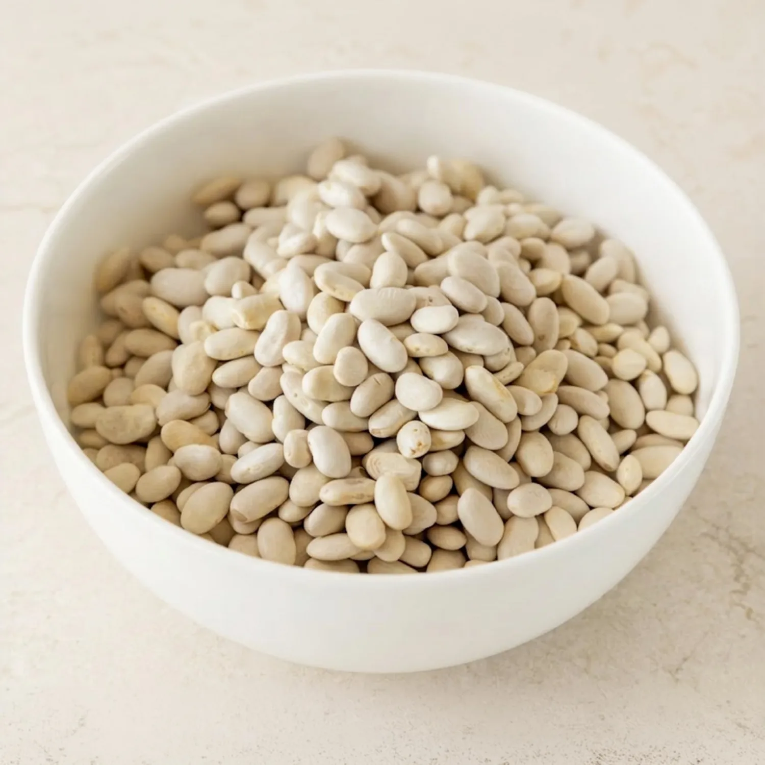 High Plains Beans Great Northern Beans, 1 lb Bag, Premium Dry Beans