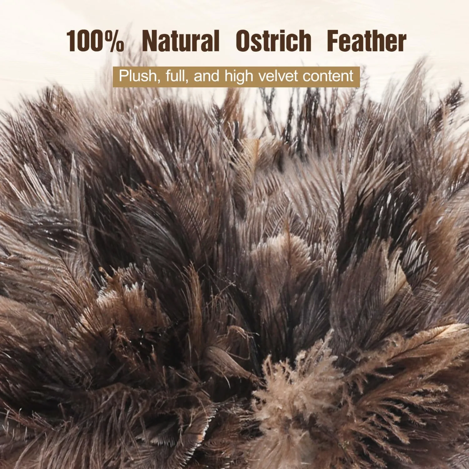 Ostrich Feather Dusters with Wood Handle，Reusable Feather Duster, Ostrich Feather Dusters for Cleaning, Home, Office, Car(Length13”,2pcs)