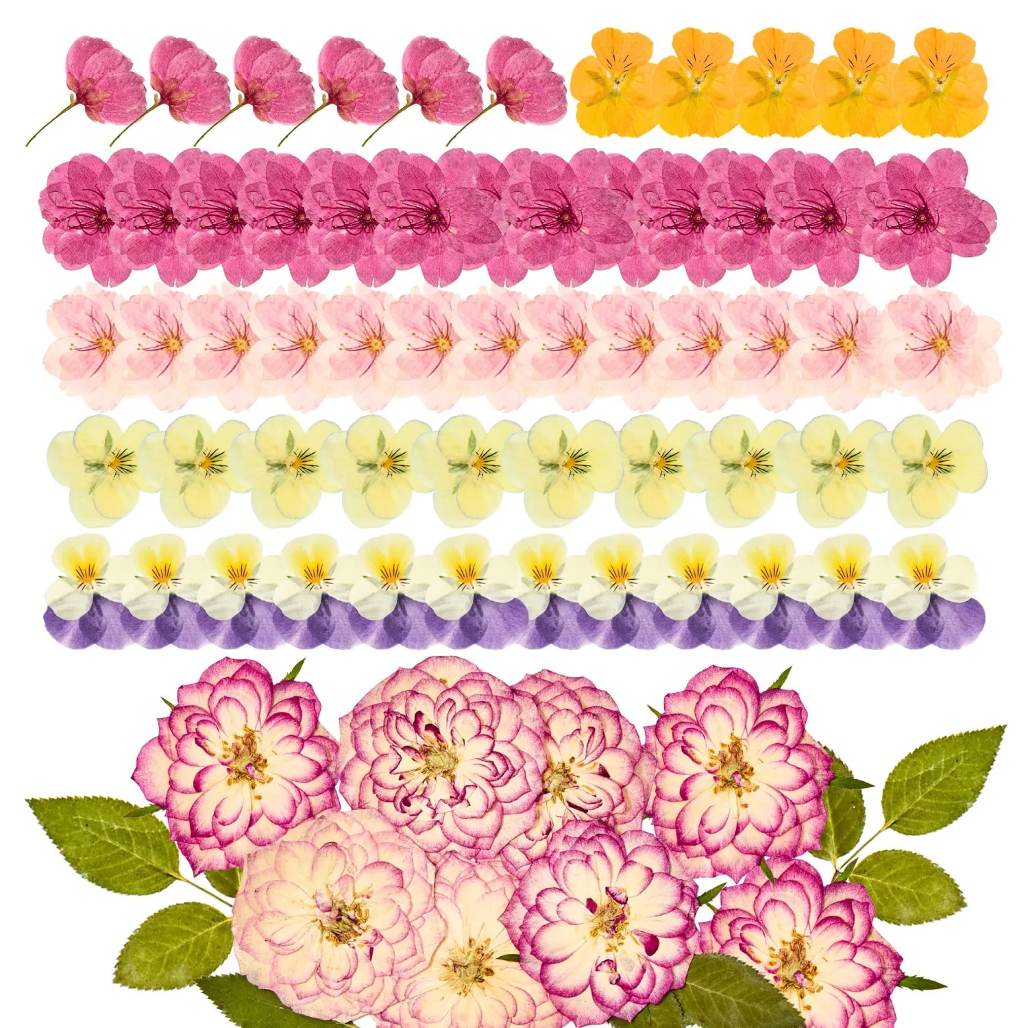 70 Pcs Pink Edible Flowers for Cakes, Dried Edible Pressed Flowers