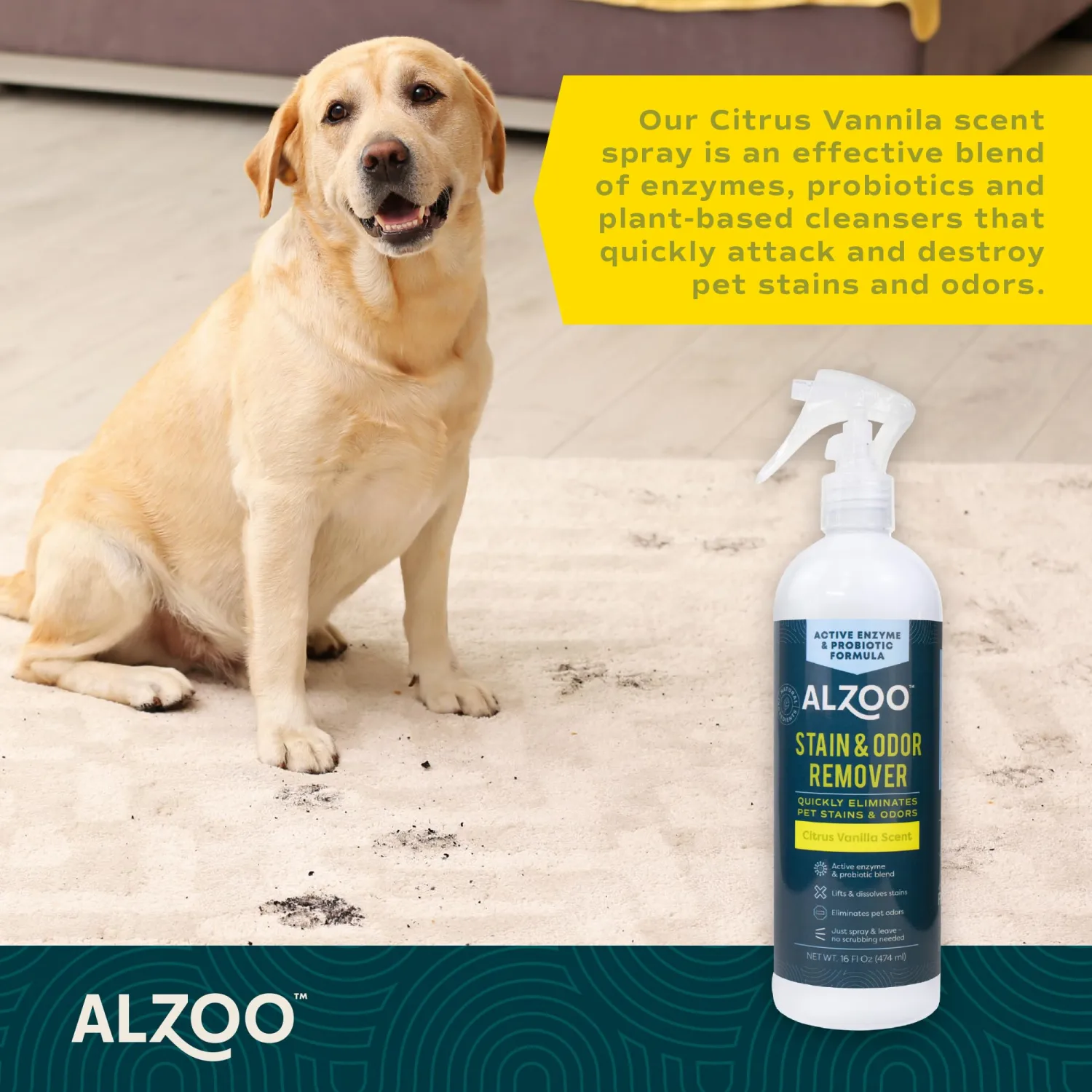 ALZOO Pet Stain & Odor Remover, Citrus Vanilla, 16 oz