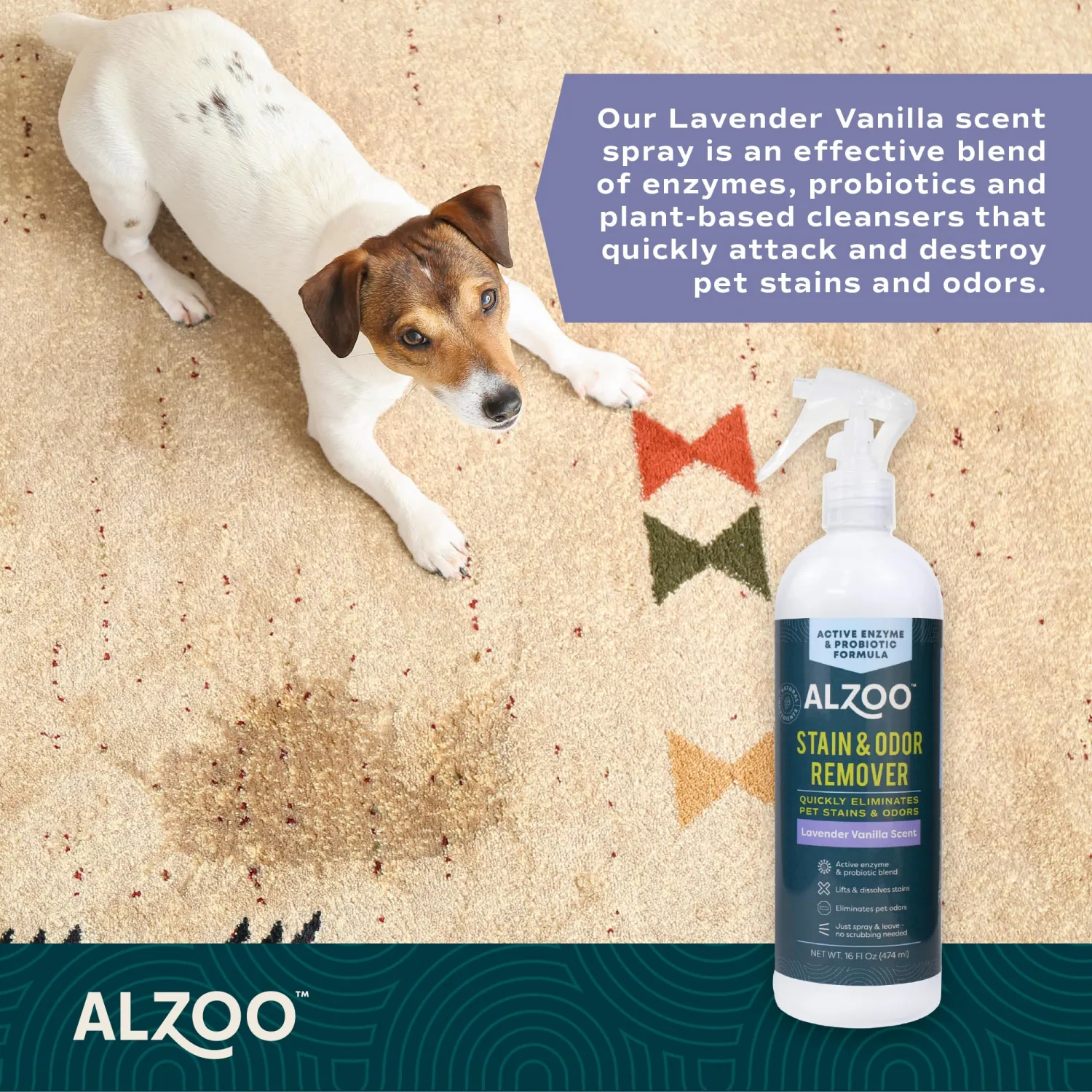 ALZOO Pet Stain & Odor Remover, Lavender Vanilla, 16 oz