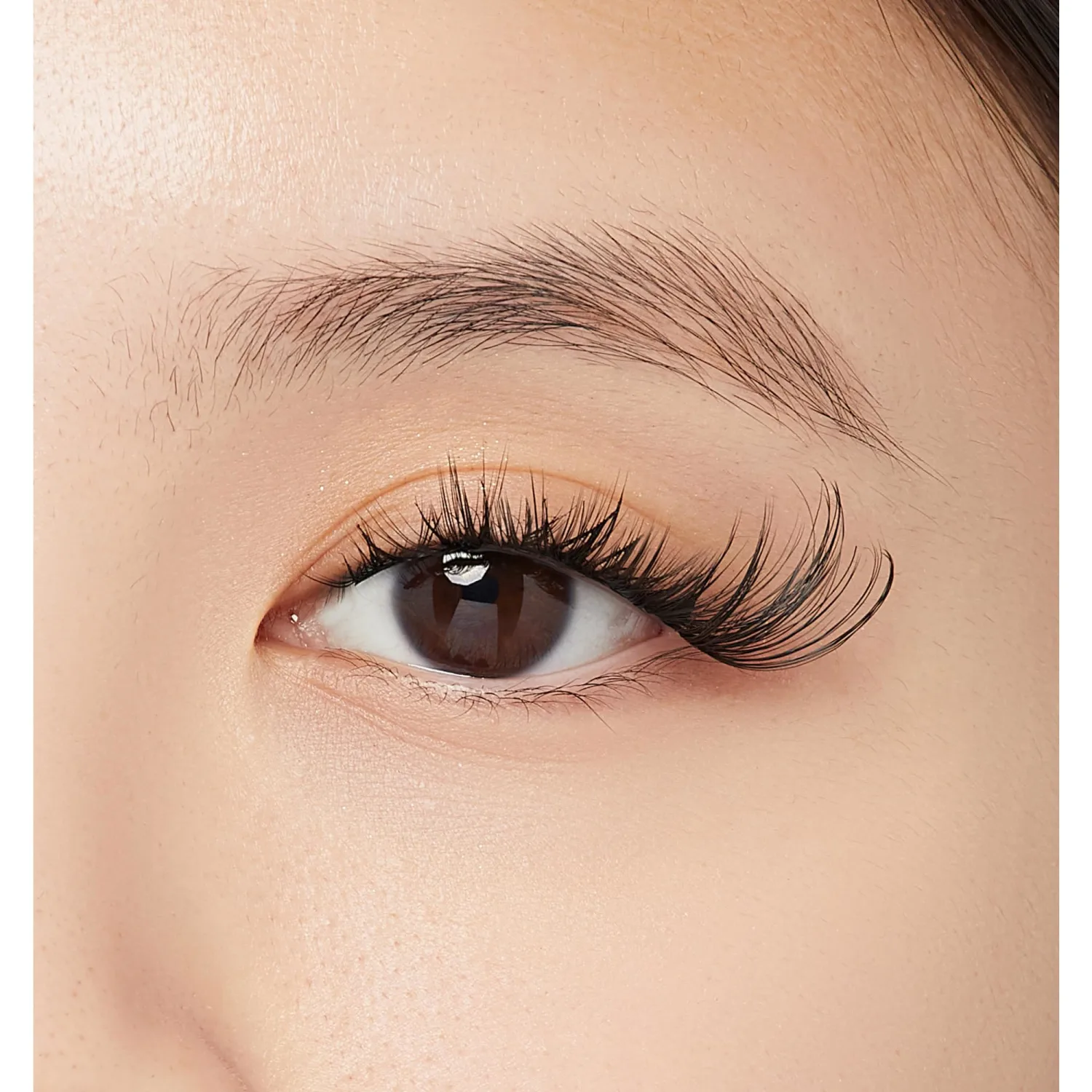 Falscara False Eyelashes Lash Extension Kit, Black, Style 'Cat Eye', DIY Extensions with Flexible Bands, Water-Resistant, Reusable, Comfortable Wear, 24 Lash Clusters