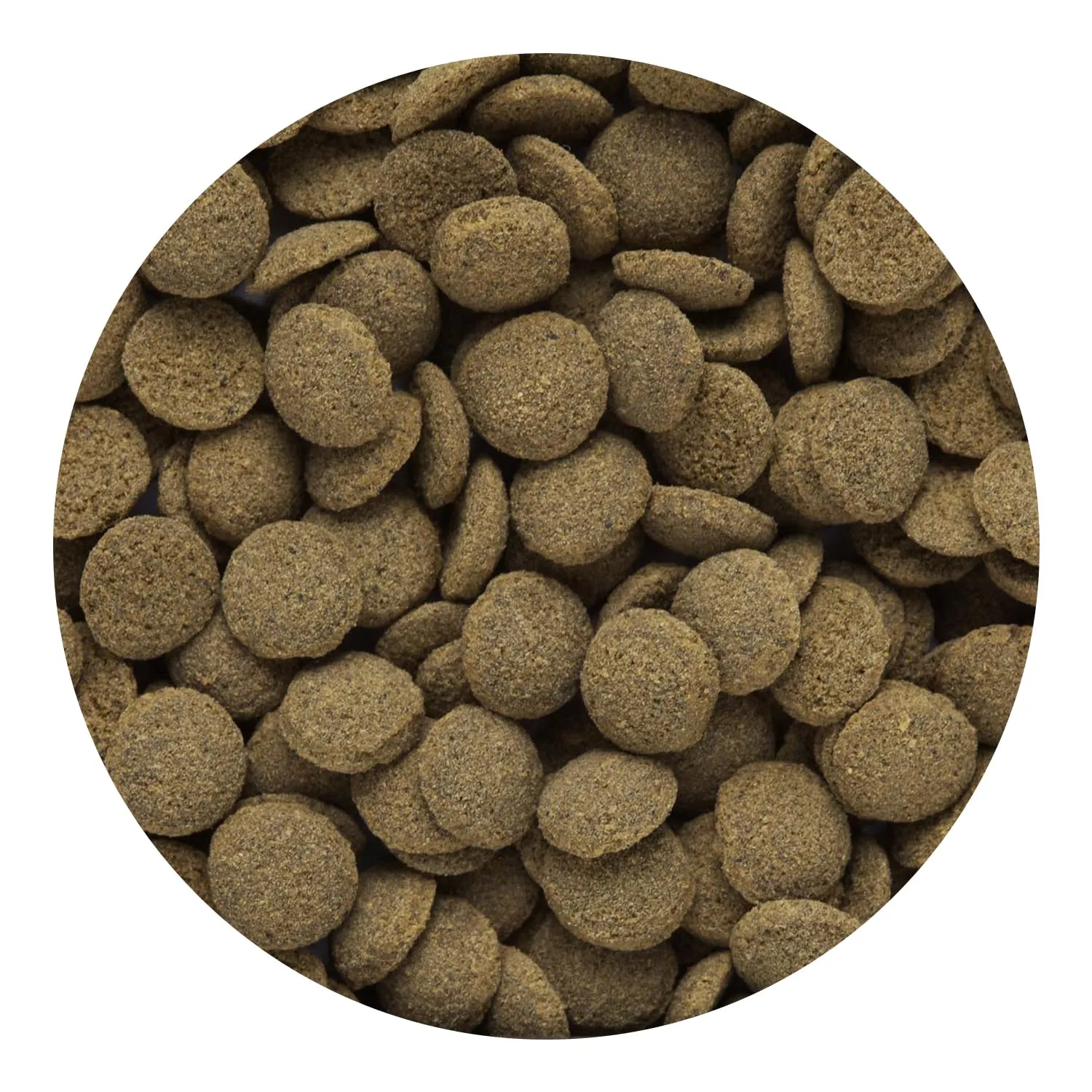 Hikari® Sinking Wafers® for Bottom-Feeding Tropical Fish, 3.88 oz (110g)