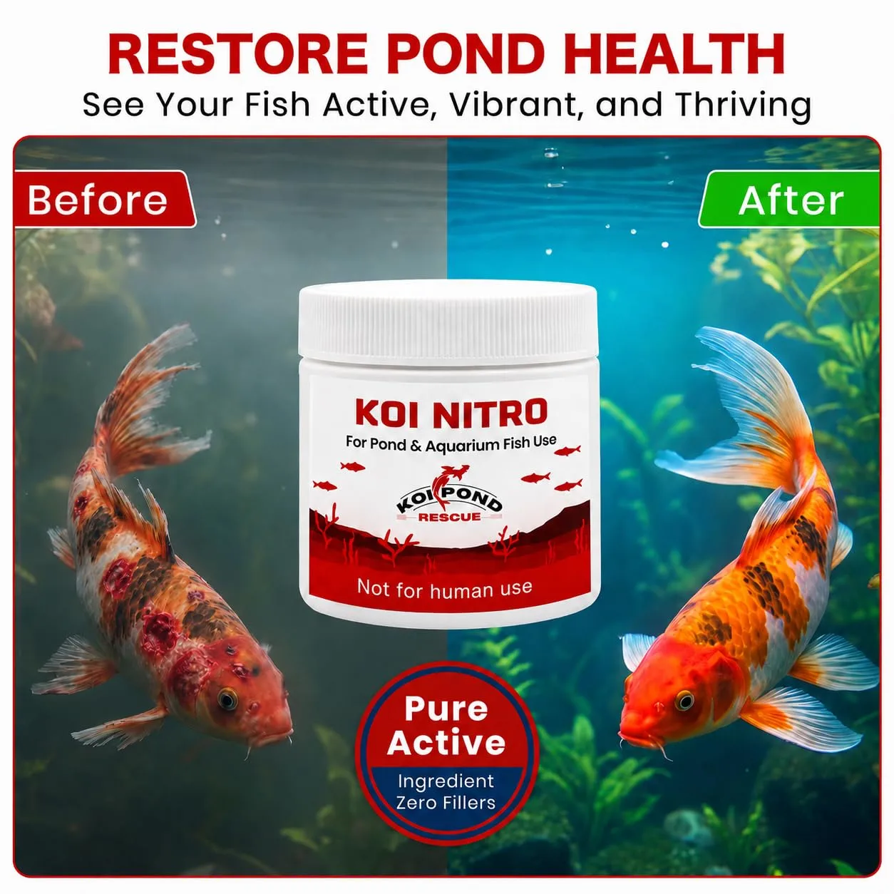 Koi Nitro for Koi Pond & Aquarium Fish Use (5 Gram)
