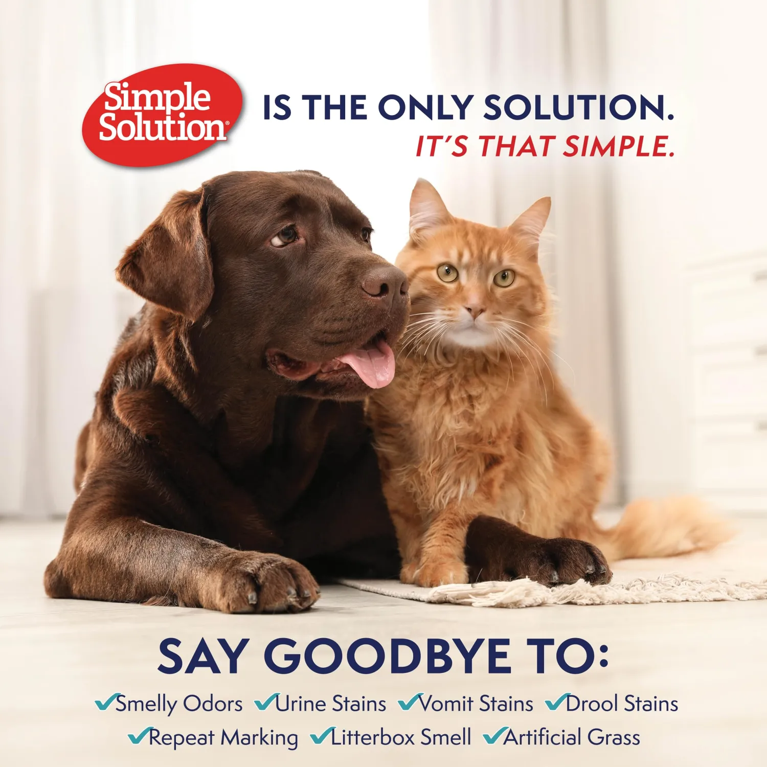 Simple Solution Hard Floor Stain & Odor Remover, Pet Stain Cleaner, Gallon