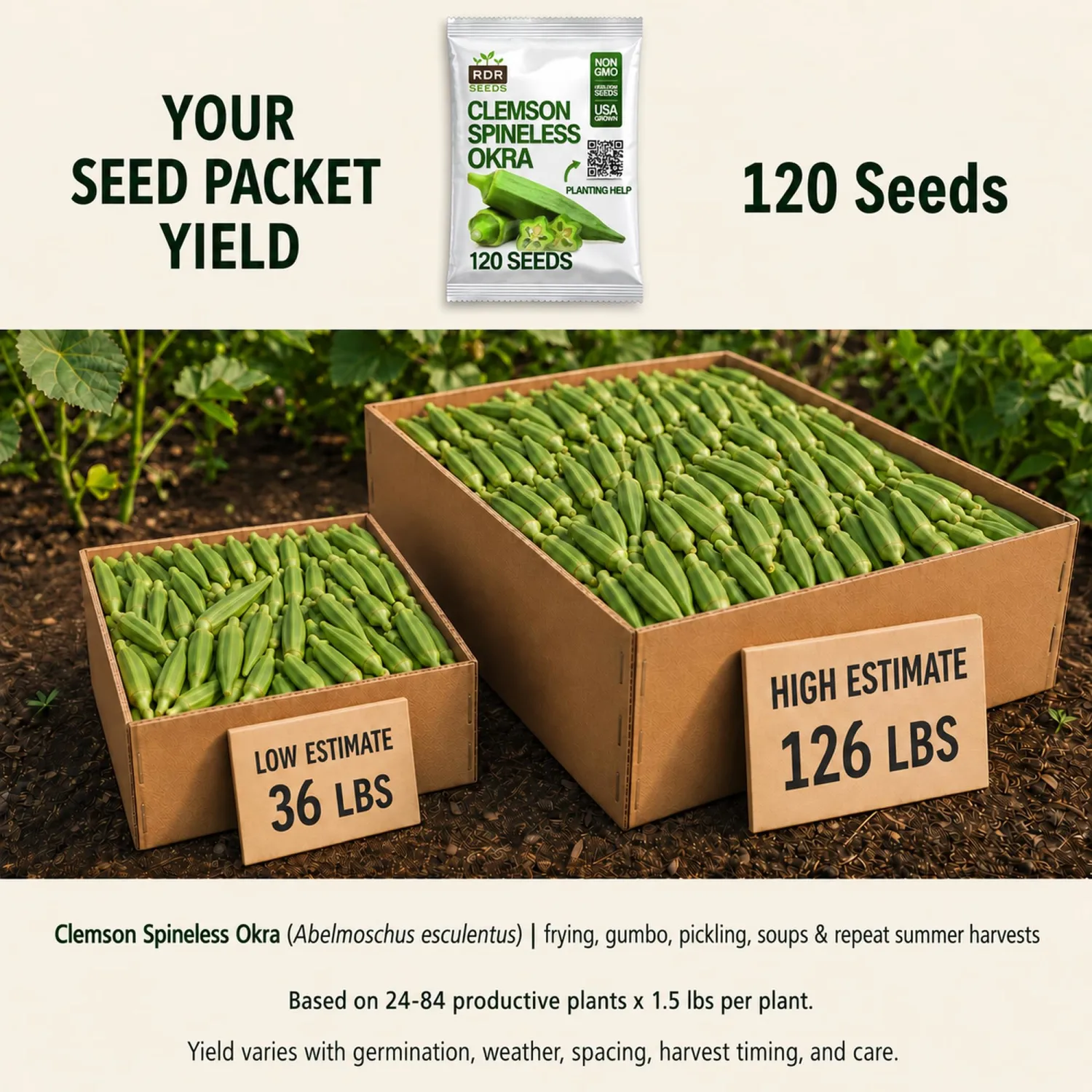 120 Clemson Spineless Okra Seeds for Planting - Heirloom, Non-GMO, USA Grown Seeds in Premium Waterproof Packaging - Lady's Finger, Gumbo, Bhindi by RDR Seeds
