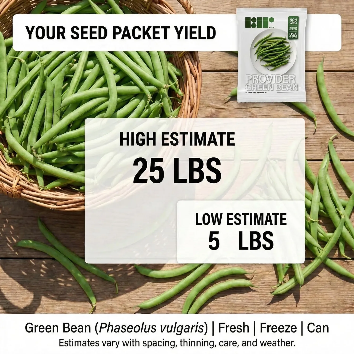 50 Green Bean Seeds for Planting - Provider - Bush Bean - Heirloom | Non-GMO | USA Grown