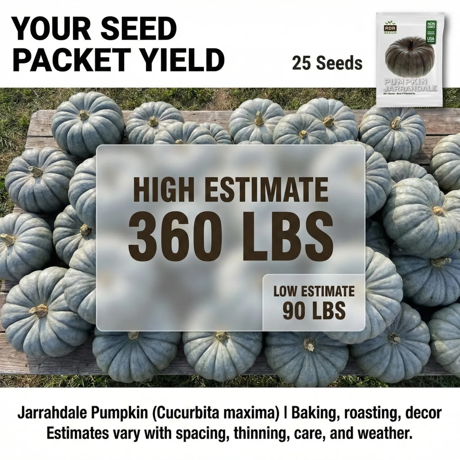 25 Jarrahdale Pumpkin Seeds for Planting - Heirloom Blue-Grey Pumpkin, Non-GMO, USA Grown - Cucurbita Maxima for Pies, Soups, Roasting & Fall Decor