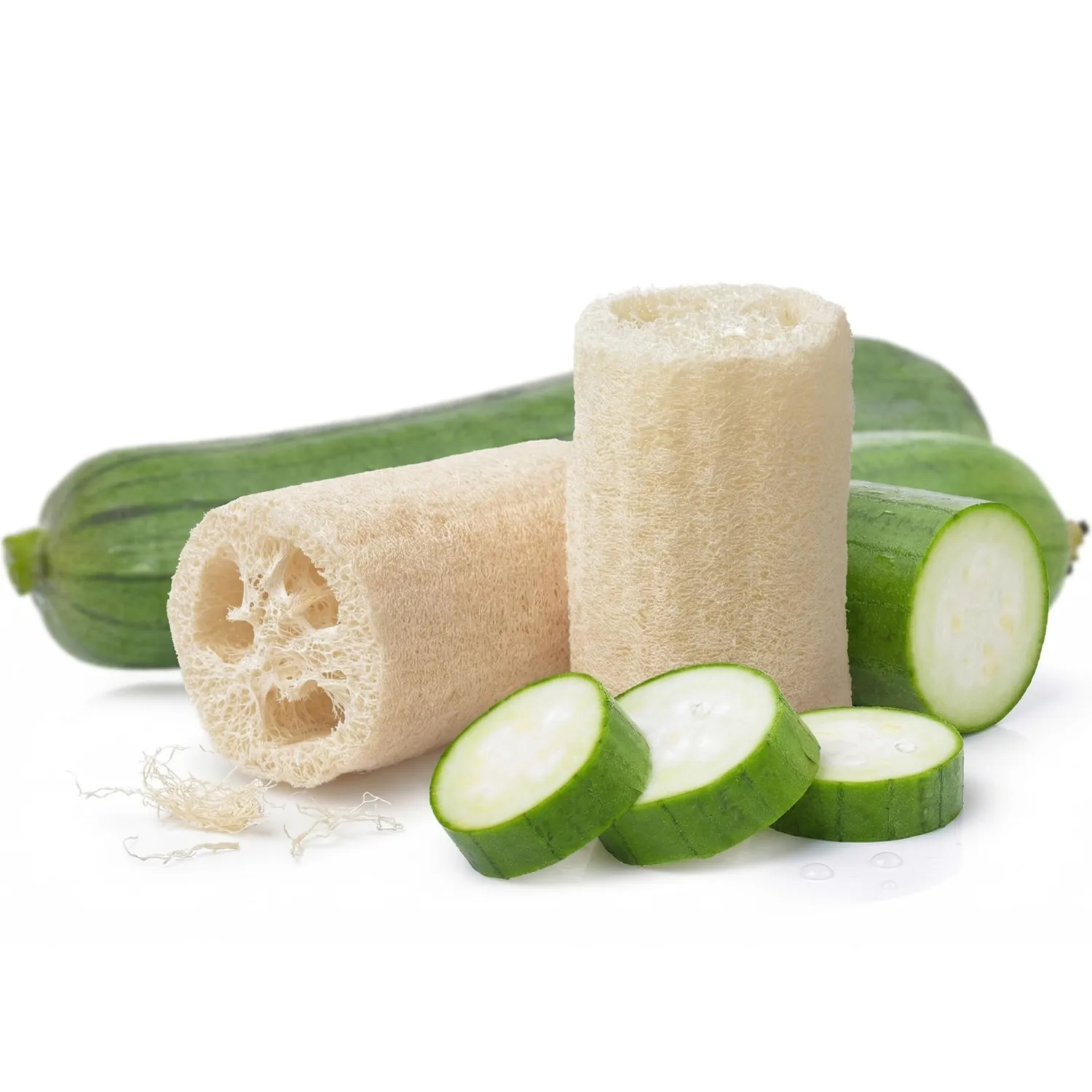 40 Loofah (Luffa) Gourd Seeds for Planting - Dual-Use Sponge and Edible Vine, Heirloom, Non-GMO, USA Grown by RDR Seeds