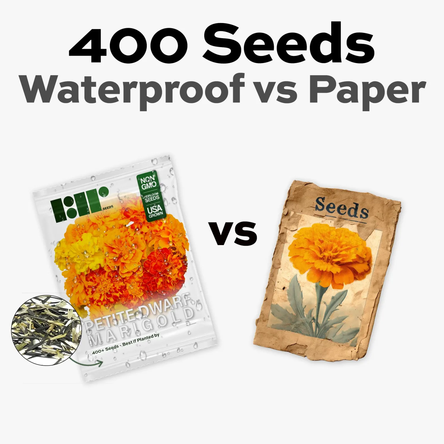400 Marigold Seeds for Planting - Petite French Dwarf Variety - Heirloom, Non-GMO, USA Grown - Easy to Grow by RDR Seeds