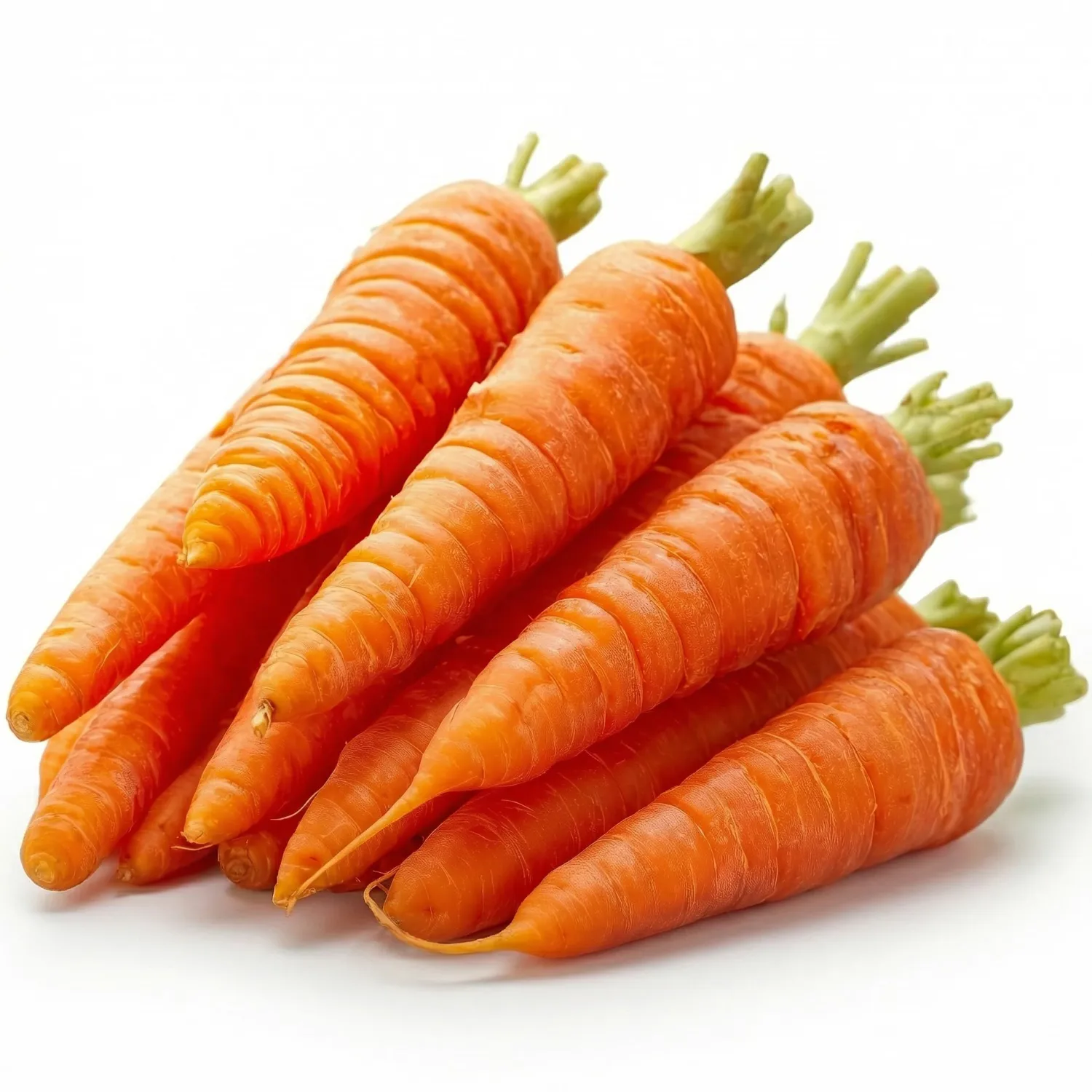 1000 Danvers 126 Carrot Seeds for Planting - Sweet Heavy-Soil Heirloom, Non-GMO, USA Grown by RDR Seeds
