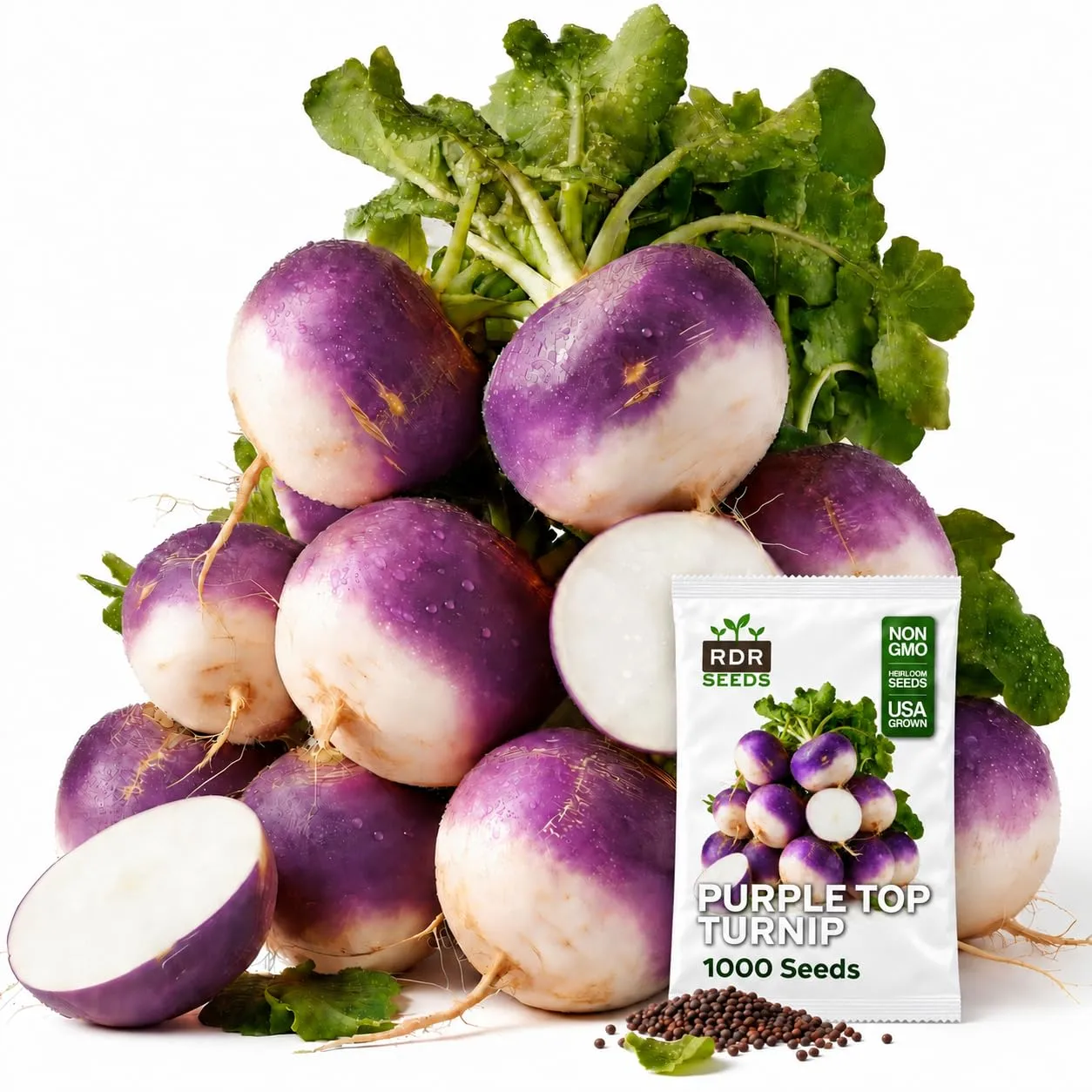 1000 Purple Top White Globe Turnip Seeds for Planting - Dual-Use Root and Greens Heirloom, Non-GMO, USA Grown by RDR Seeds