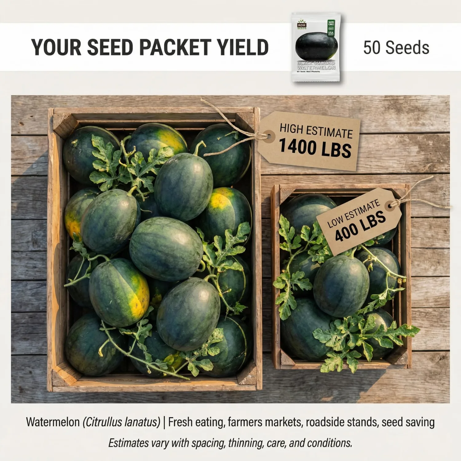 50 Black Diamond Watermelon Seeds for Planting - Heirloom Non-GMO Fruit Seeds for Planting - Grows Big Giant Watermelons Averaging 30-50 lbs