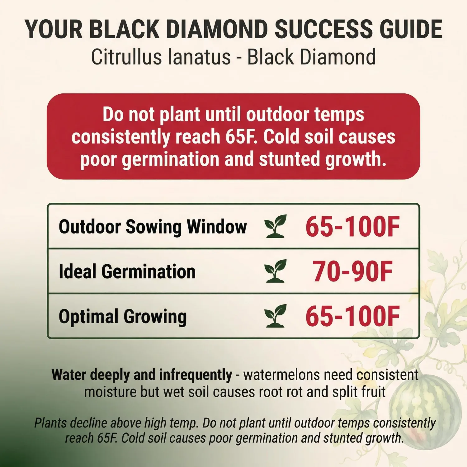 50 Black Diamond Watermelon Seeds for Planting - Heirloom Non-GMO Fruit Seeds for Planting - Grows Big Giant Watermelons Averaging 30-50 lbs