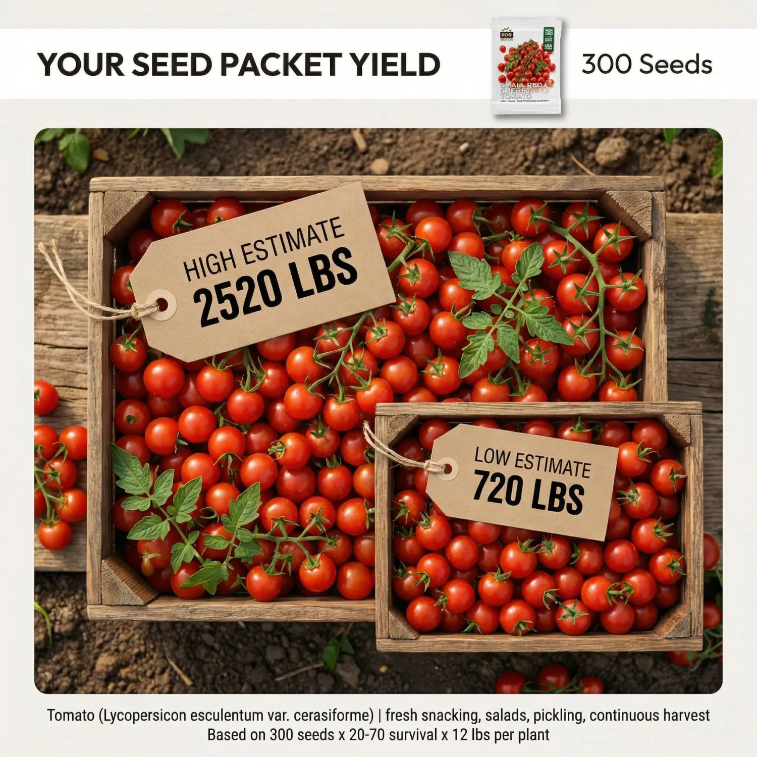 300 Small Red Cherry Tomato Seeds for Planting - Sweet Bite-Size Heirloom Indeterminate, Non-GMO, USA Grown by RDR Seeds