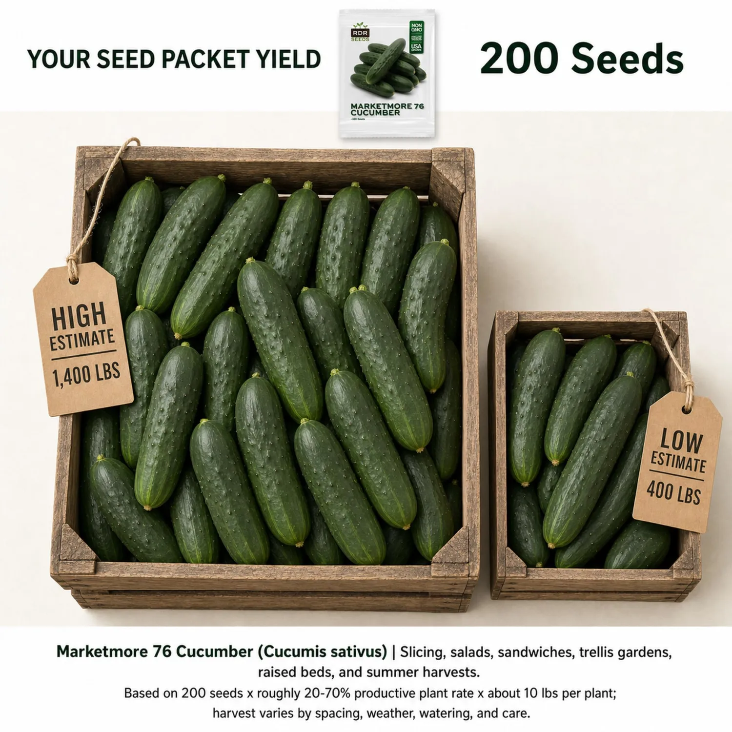 200 Marketmore 76 Cucumber Seeds for Planting - Open-Pollinated Non-GMO Seeds by RDR Seeds