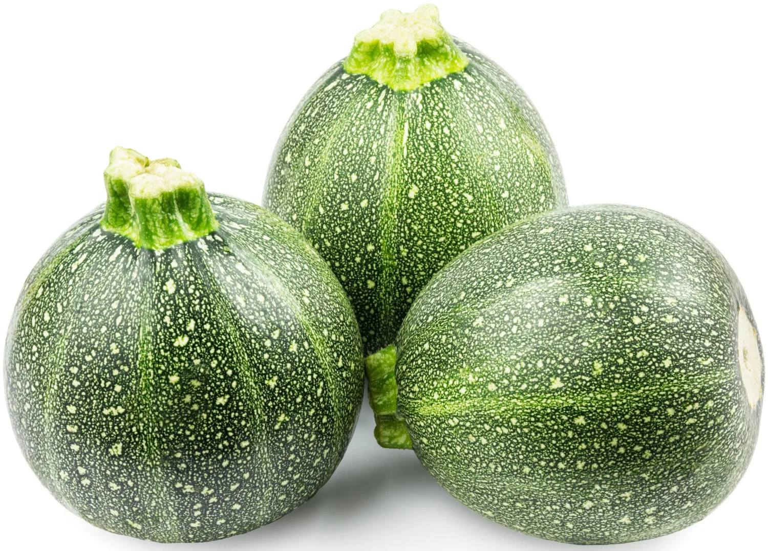 30 Round Zucchini Seeds for Planting - Heirloom, Non-GMO, USA Grown Seeds in Premium Waterproof Packaging with Plant Information and Instructions - Cucurbita Pepo