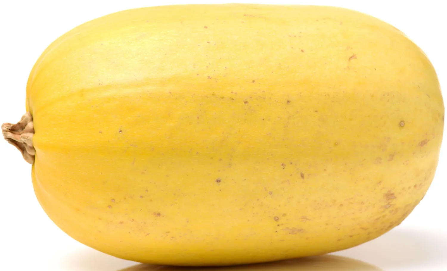 40+ Spaghetti Squash Seeds for Planting - Heirloom Non-GMO USA Grown Winter Squash Seeds by RDR Seeds