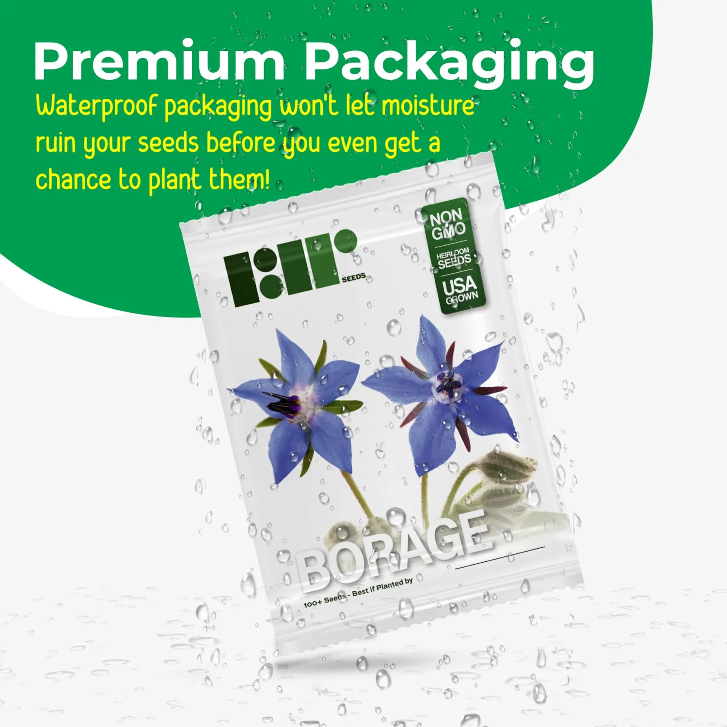 Borage Seeds - Starflower - Heirloom Non-GMO Herb Seeds for Planting an Herb Garden - 100 Seeds - Borago Officinalis - by RDR Seeds