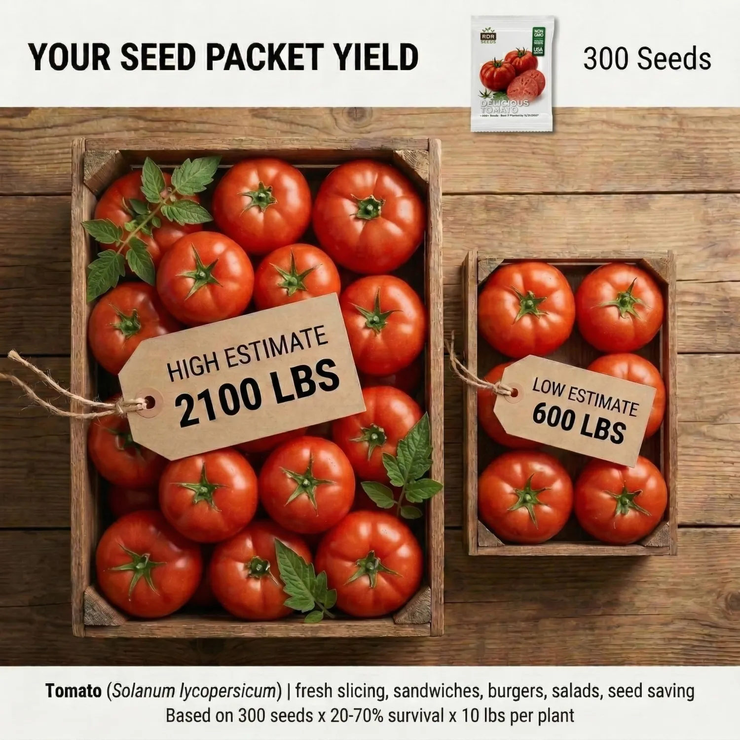 300 Delicious Tomato Seeds for Planting - Giant Beefsteak Heirloom, Non-GMO, USA Grown by RDR Seeds