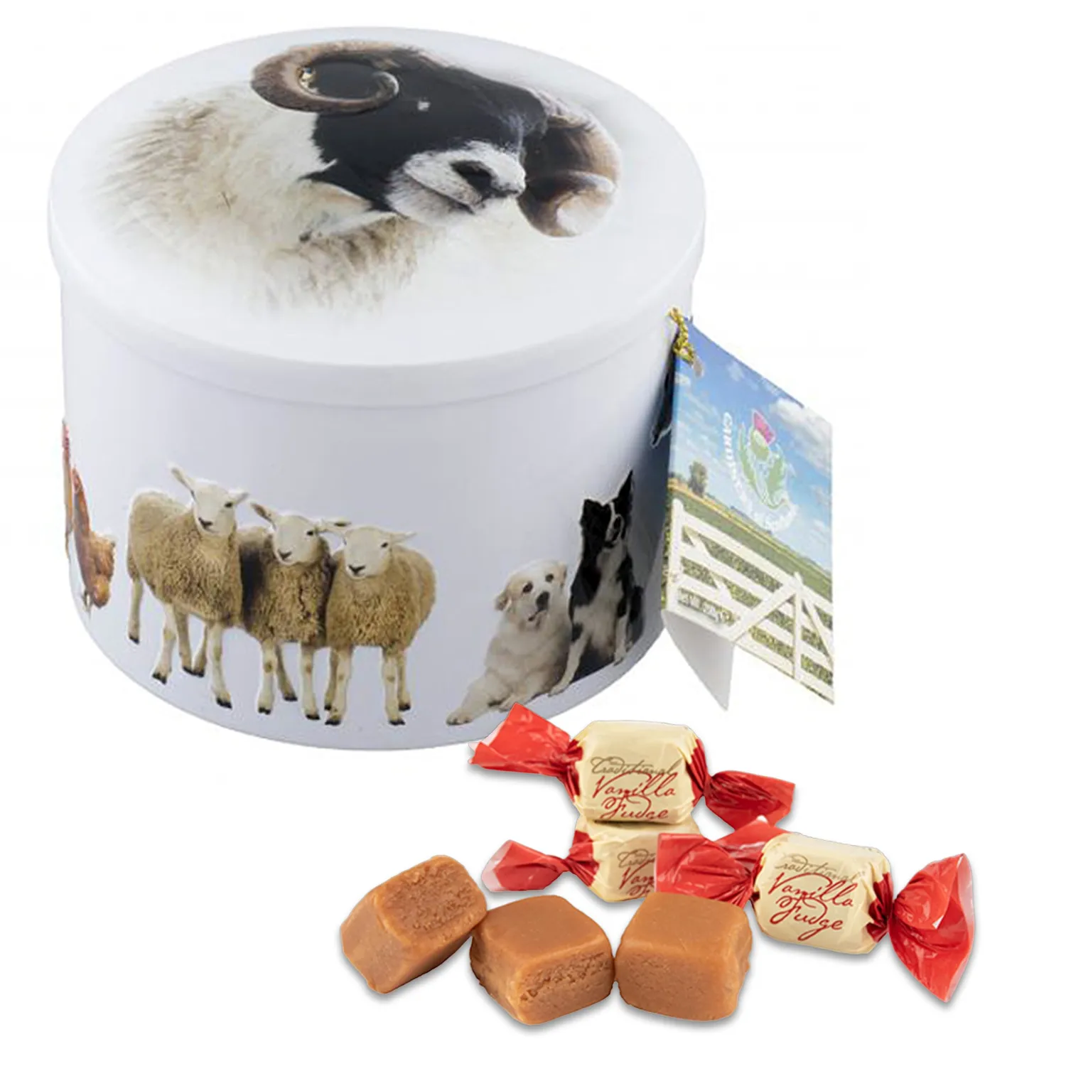 Gardiners of Scotland Farm Animals Vanilla Fudge 7oz (Pack of 1)