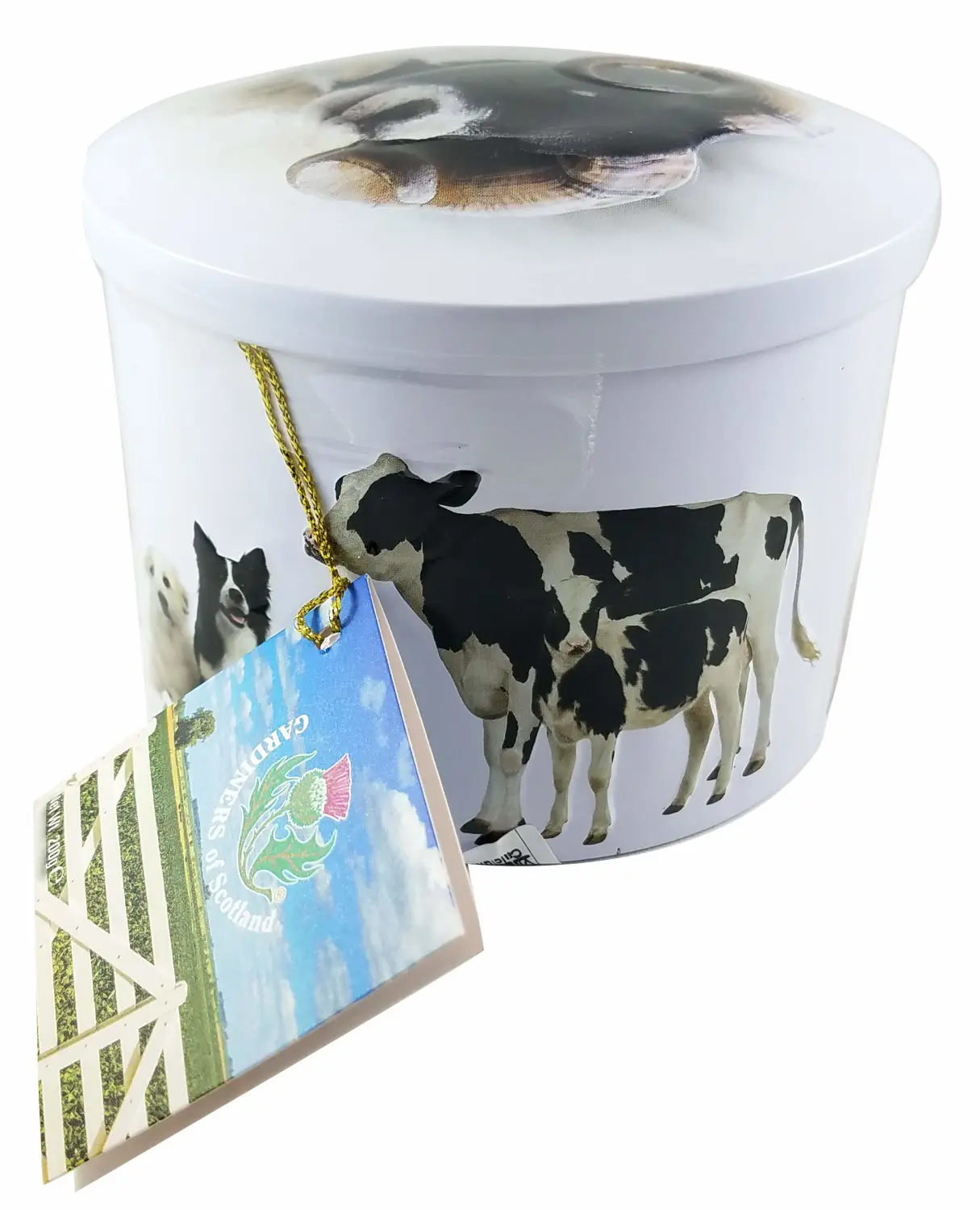 Gardiners of Scotland Farm Animals Vanilla Fudge 7oz (Pack of 1)
