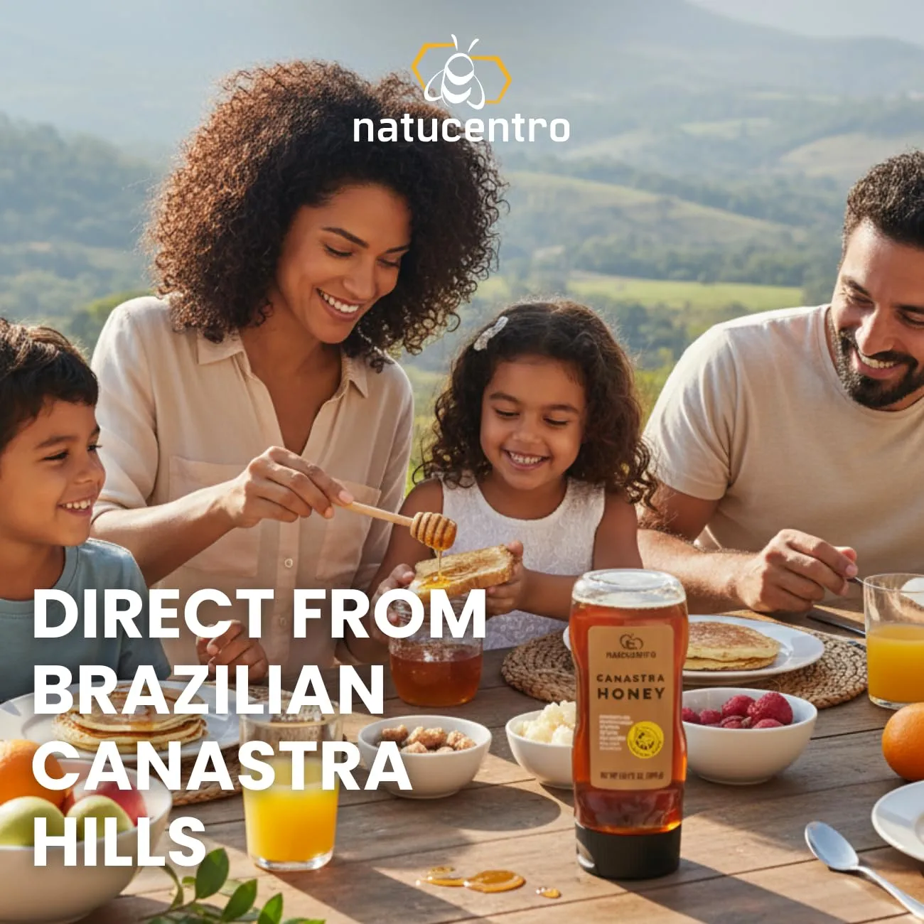 Honey. Imported Brazilian Premium Gourmet Natural Honey, Single-Origin Brazilian, Light and Flavorful, Natural Energy Source, Natural Sweetener, 9.87 Fl Oz by Natucentro, direct from the Brazilian Canastra Hills to your table