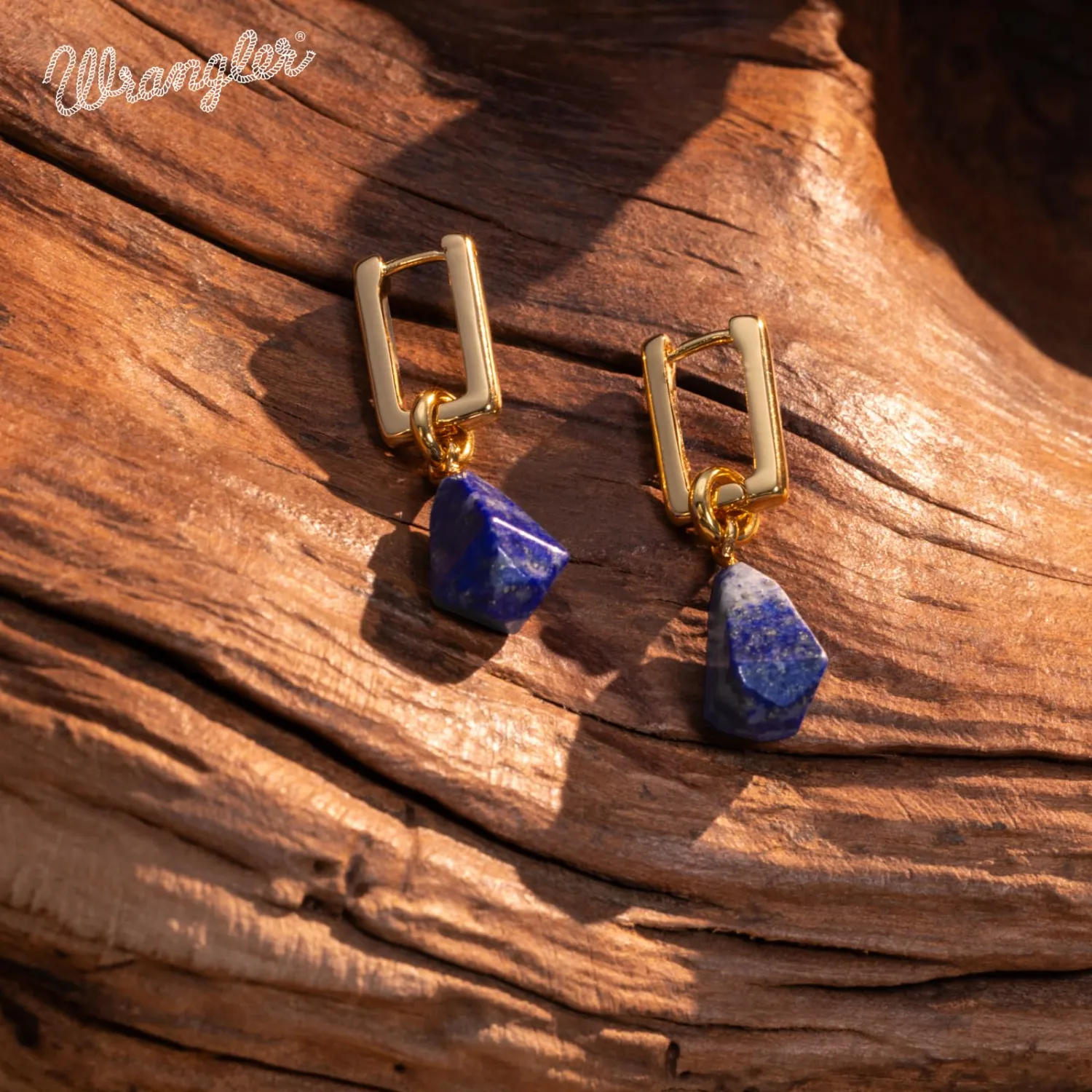 Montana West Wrangler Gold Western Dangle Drop Earrings for Women Boho