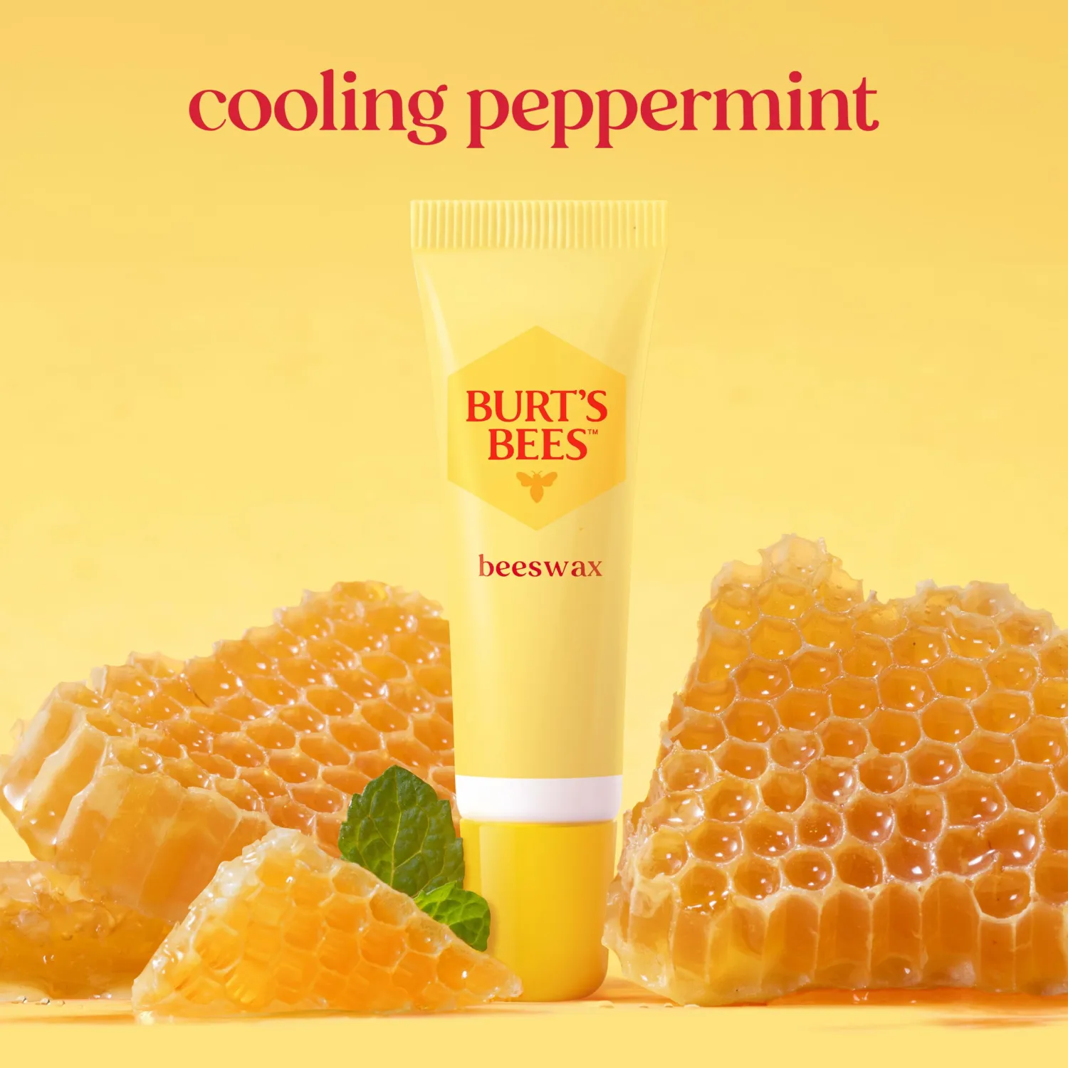 Burt's Bees 24 Hour Hydrating Lip Balm, Beeswax, 2 Pack, 0.35 oz