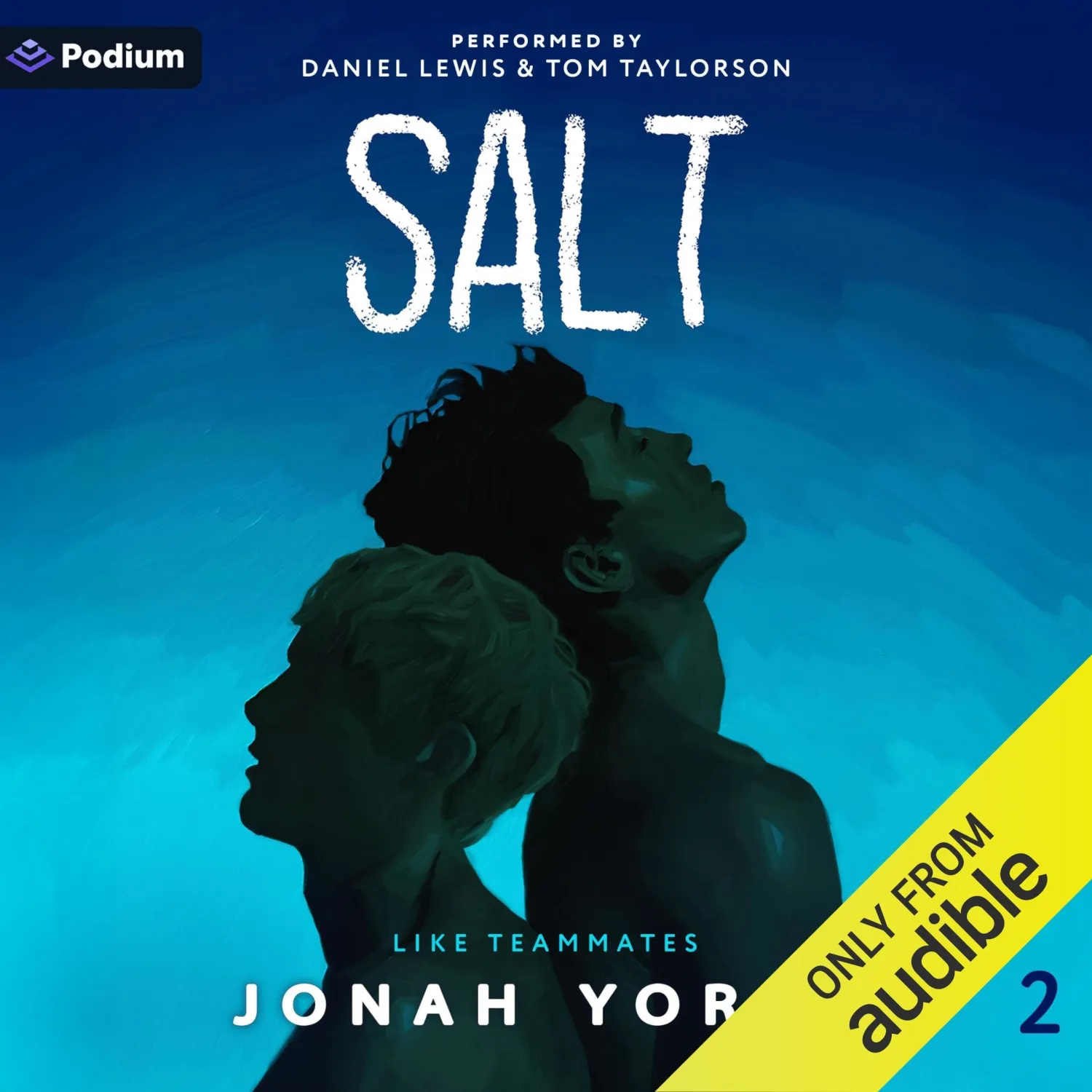 Salt: Like Teammates, Book 2