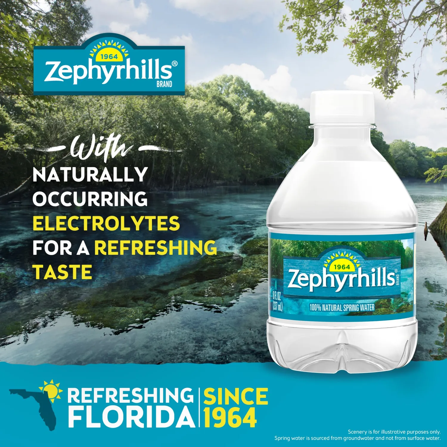 Zephyrhills Florida Spring Bottled Water - 12 Pack, Mini 8 Fl Oz Bottles