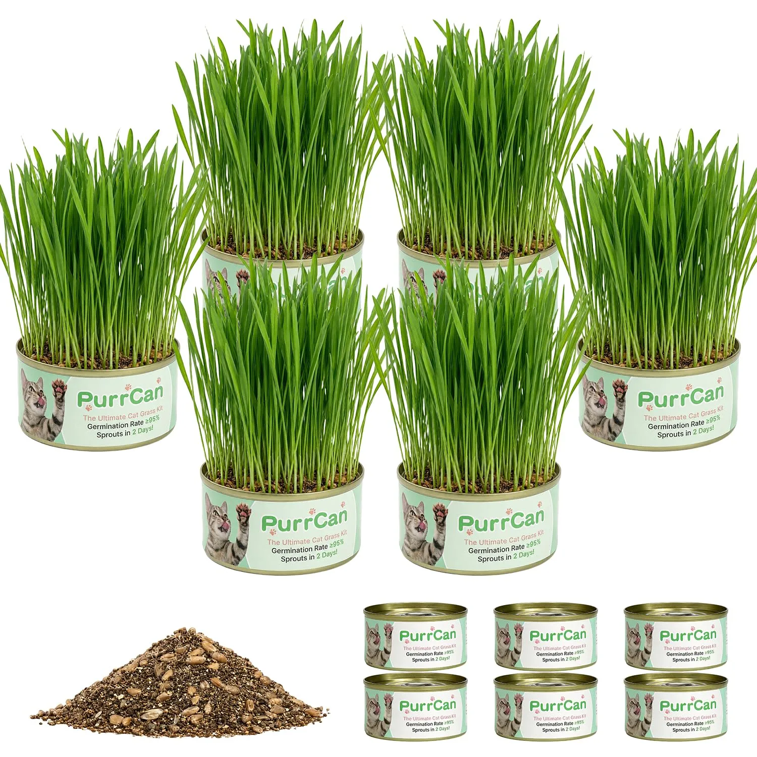 Cat Grass Growing Kit – 6 Cans, Non-GMO Organic Wheat Seeds