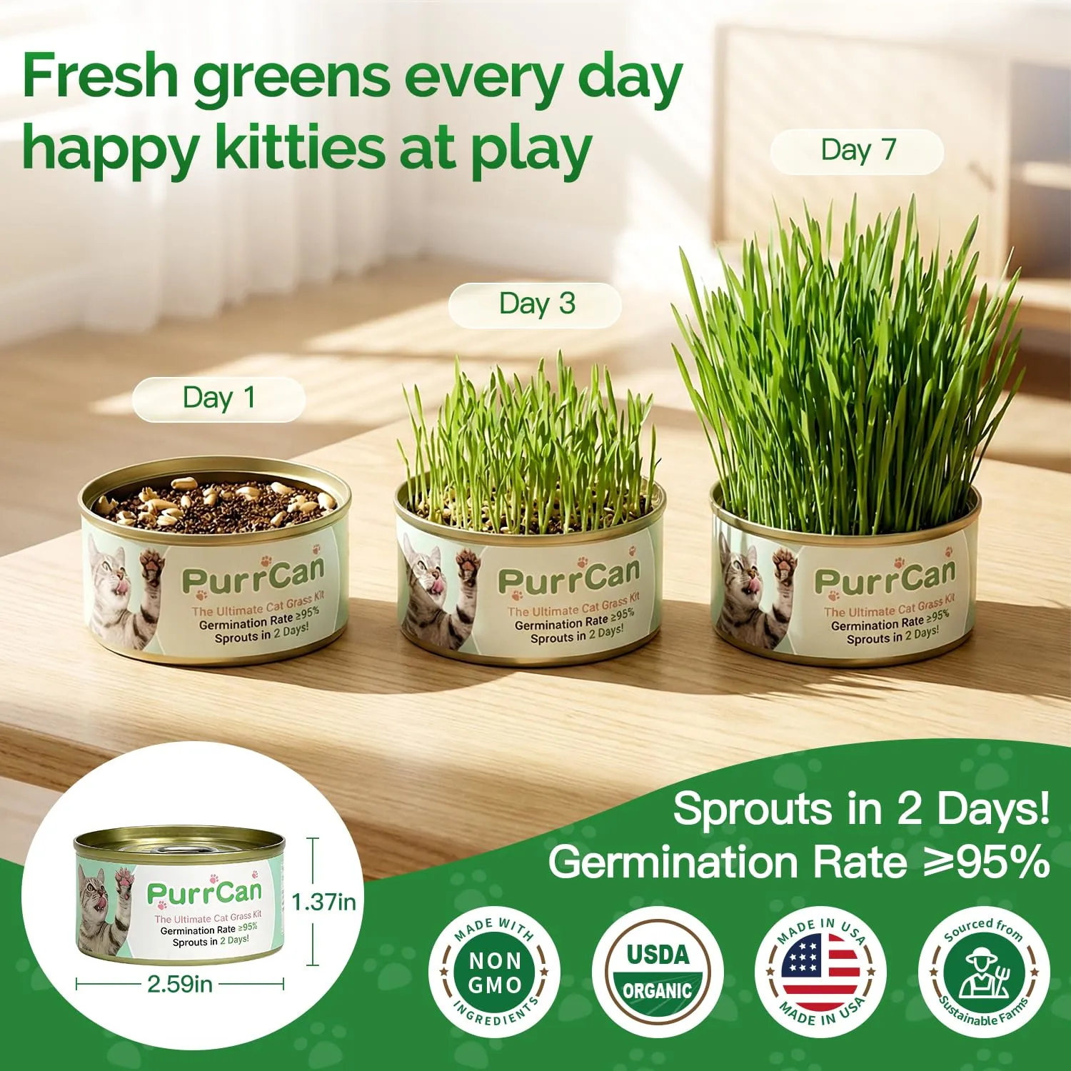 Cat Grass Growing Kit – 6 Cans, Non-GMO Organic Wheat Seeds