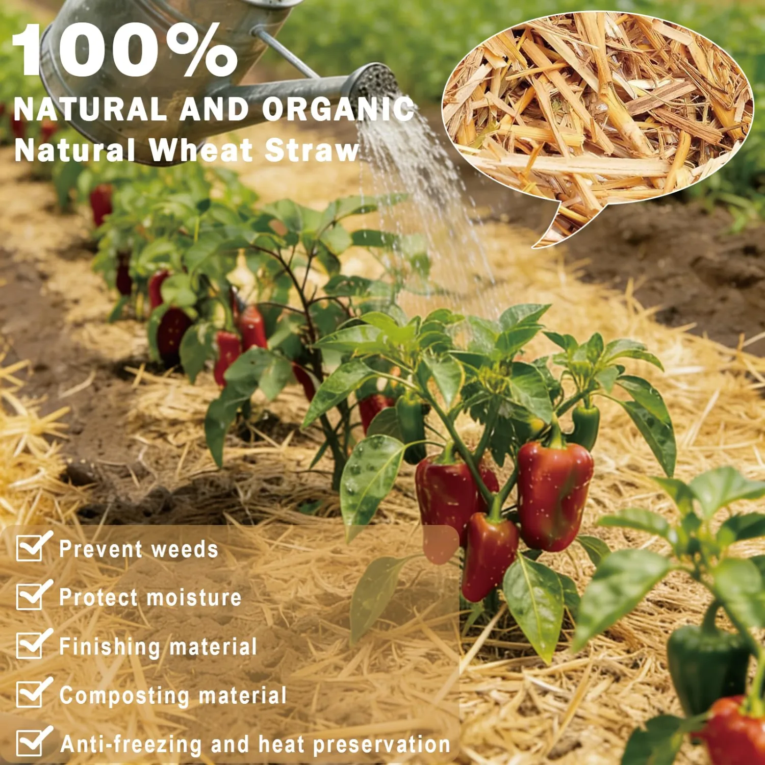 Natural Dry Wheat Straw for Stray Cats & Dogs Shelter Garden Mulch